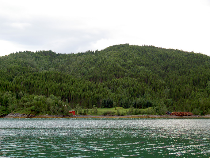 Forvaltning og rådgivning